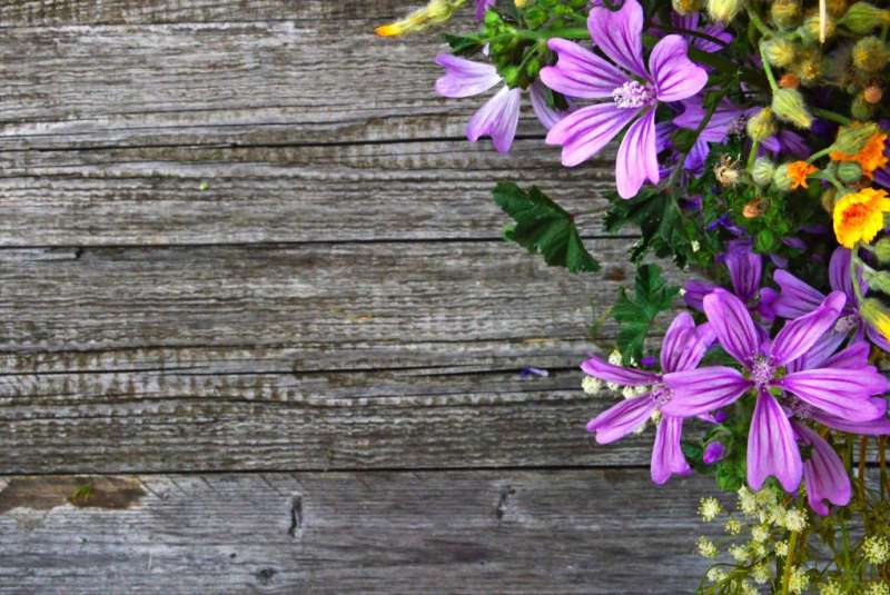 起诉离婚不找律师行不行？什么情况下离婚不需要请律师